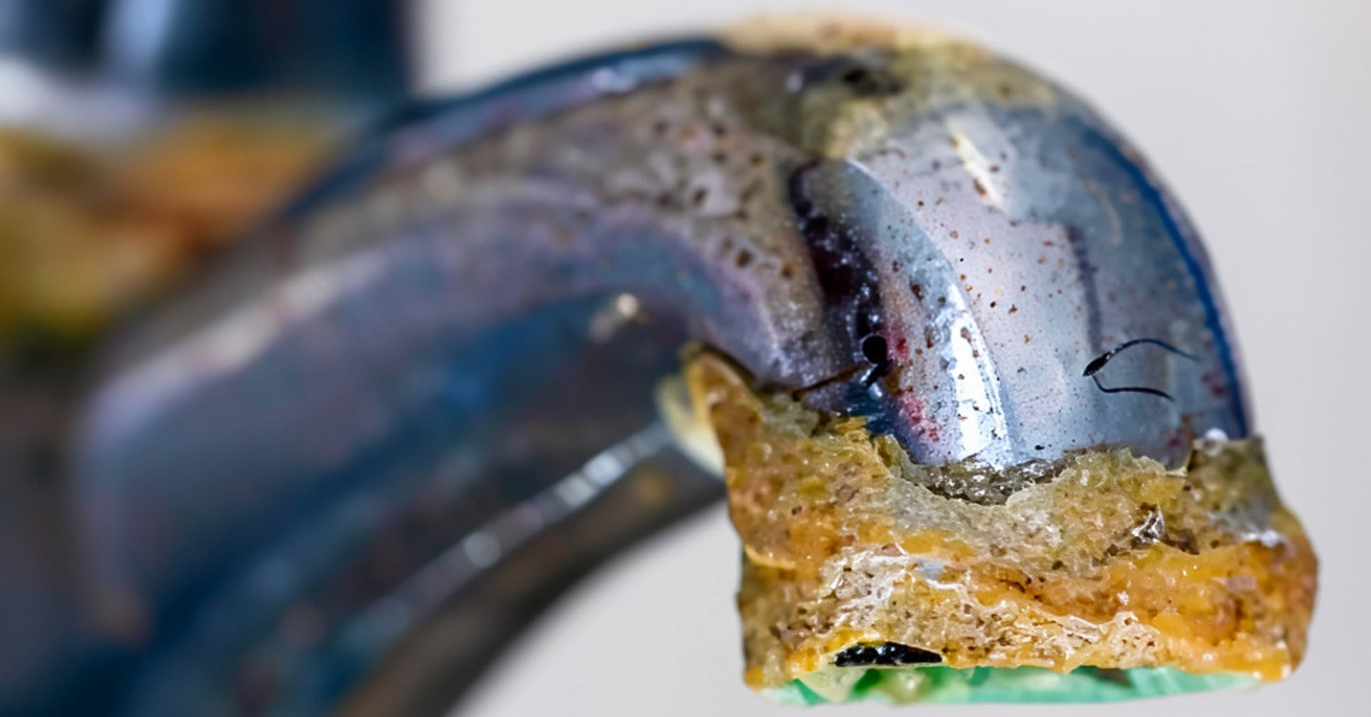 Hard Water & Your Challenger Califont: Why Scale Build-Up Matters (and How to Fix It)